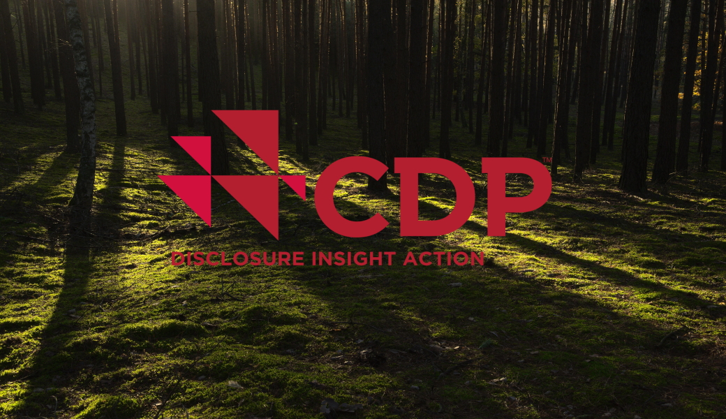 CDP Danışmanlığı